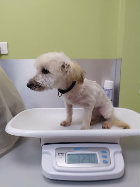 Saga, je suis douce et joyeuse