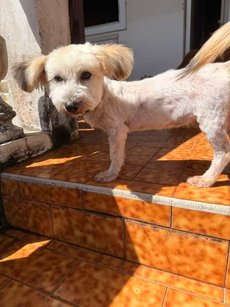 Saga, je suis douce et joyeuse