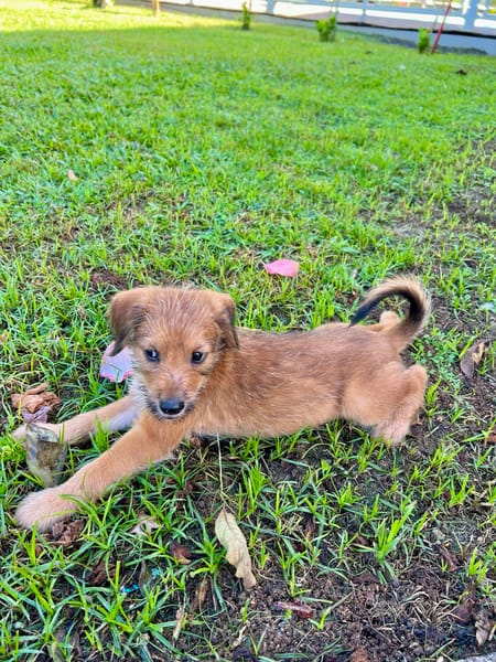 Youpi, bébé polisson