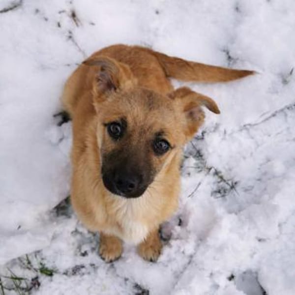 Charline - möchte dein Leben versüßen 🍀