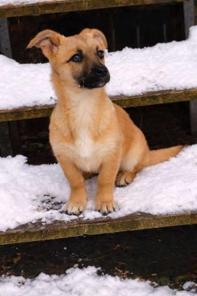 Charline - möchte dein Leben versüßen 🍀