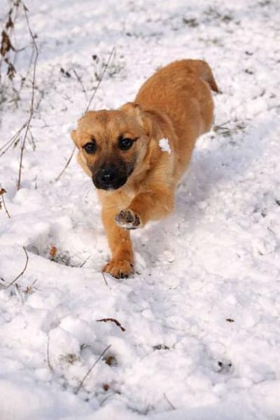 Charline - möchte dein Leben versüßen 🍀