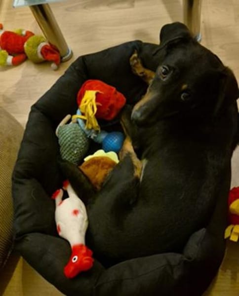 Candy° in 41472 Neuss