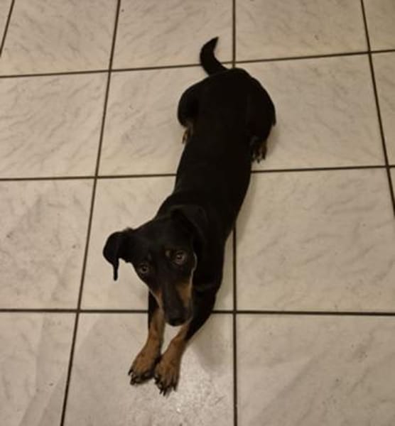 Candy° in 41472 Neuss