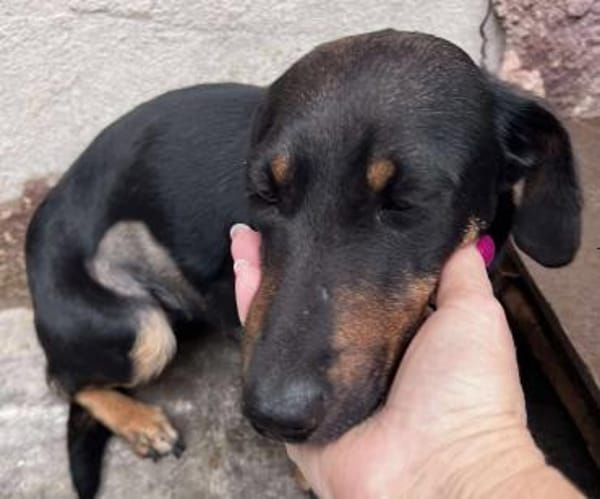 Candy° in 41472 Neuss