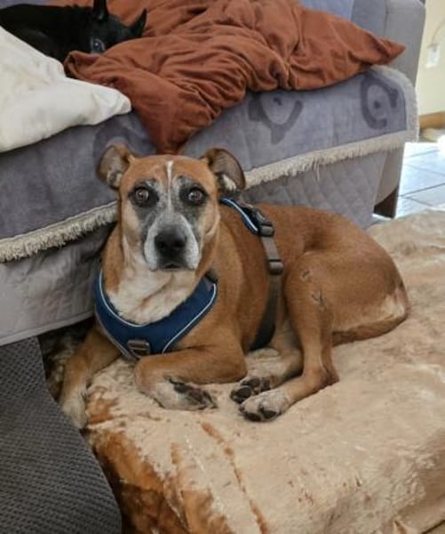 Wo sind nur meine Menschen ?