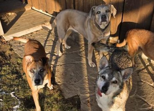 Wo sind nur meine Menschen ?