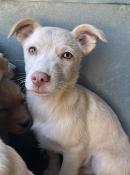 Francky Stanley, geb. 08/25, 81929 Münch