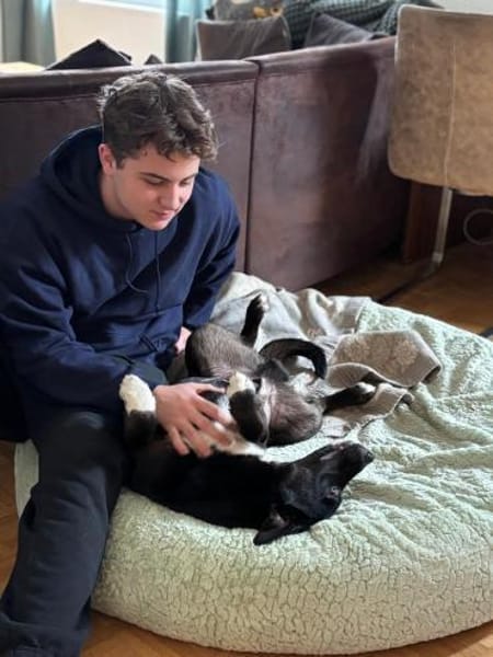 Monti❤Pflegefamilie 41812 Erkelenz