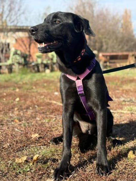 Unsere hübsche Nera sucht ihr Happy End