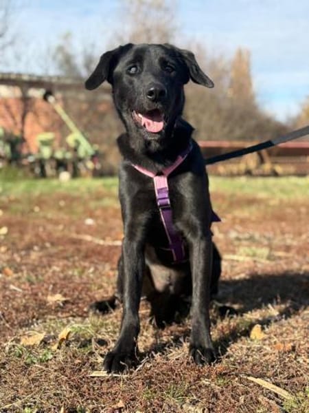Unsere hübsche Nera sucht ihr Happy End