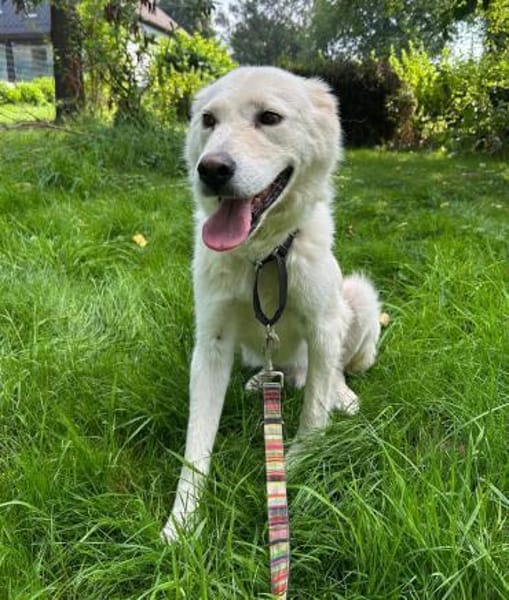 MARLON - hofft auf eine eigene Familie