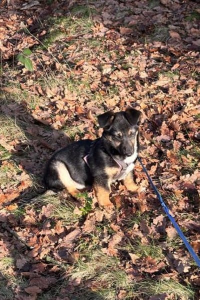 Elke 💗 wartet in 45259 Essen