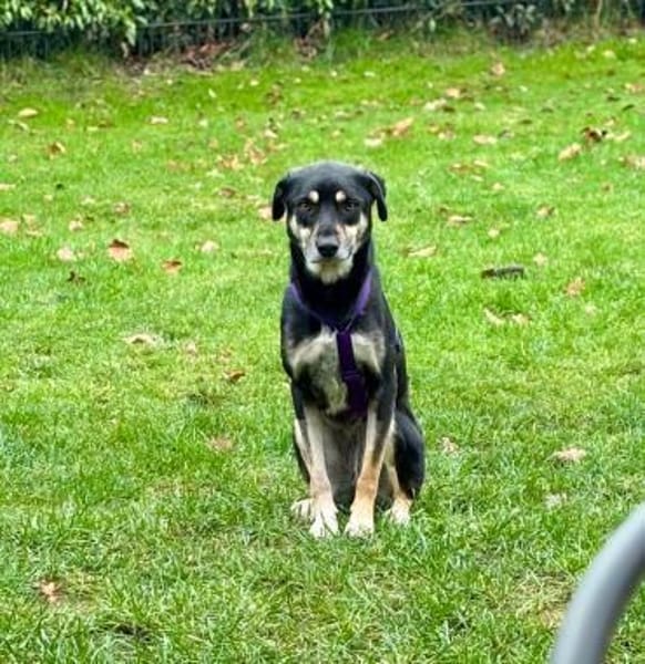 Elke -  will Verständnis,Geduld&Empathie