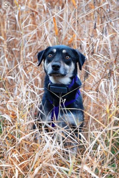 Elke -  will Verständnis,Geduld&Empathie