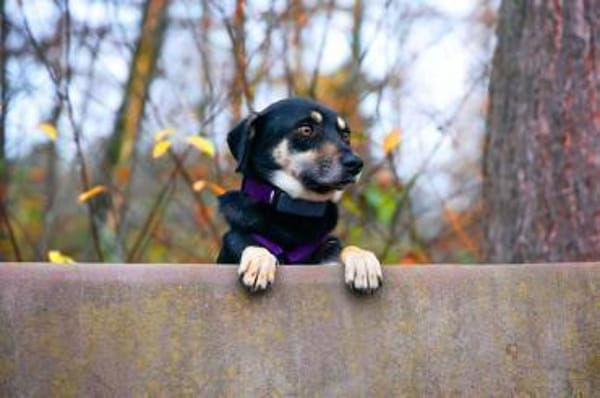 Elke -  will Verständnis,Geduld&Empathie