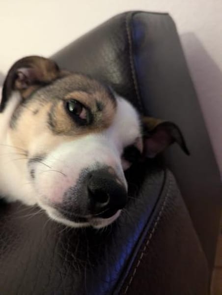 FIETE - einfach ein kleiner Aktiver