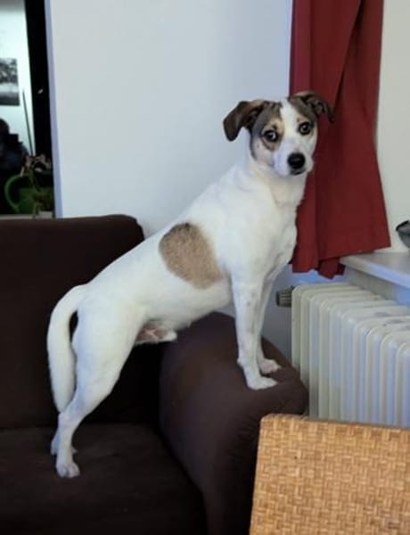 FIETE - einfach ein kleiner Aktiver