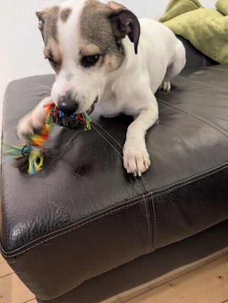 FIETE - einfach ein kleiner Aktiver