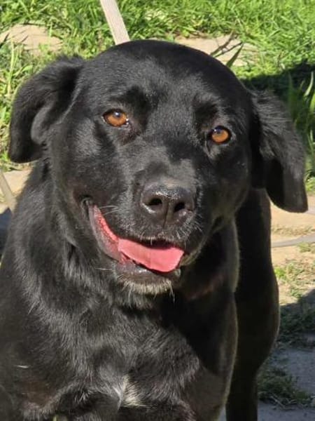 Kluge sanfte treue MIRA sucht ♥