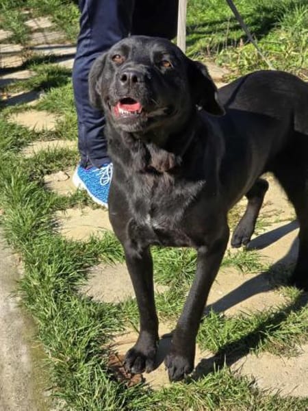 Kluge sanfte treue MIRA sucht ♥