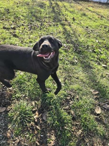 Kluge sanfte treue MIRA sucht ♥