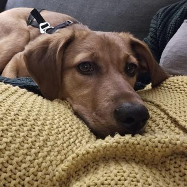 Jarah ♥ wird immer mutiger