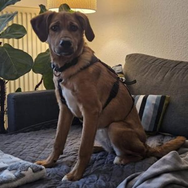 Jarah ♥ wird immer mutiger