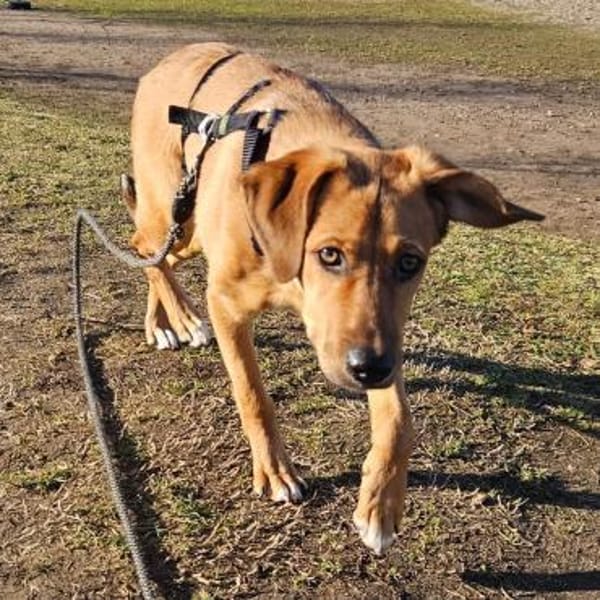 Jarah ♥ wird immer mutiger