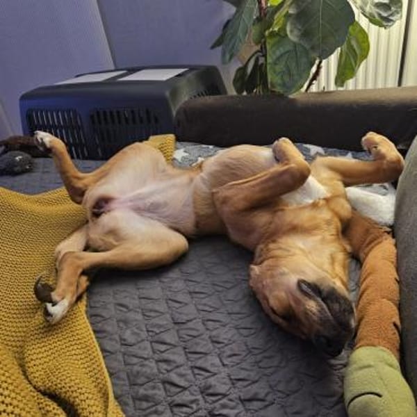 Jarah ♥ wird immer mutiger