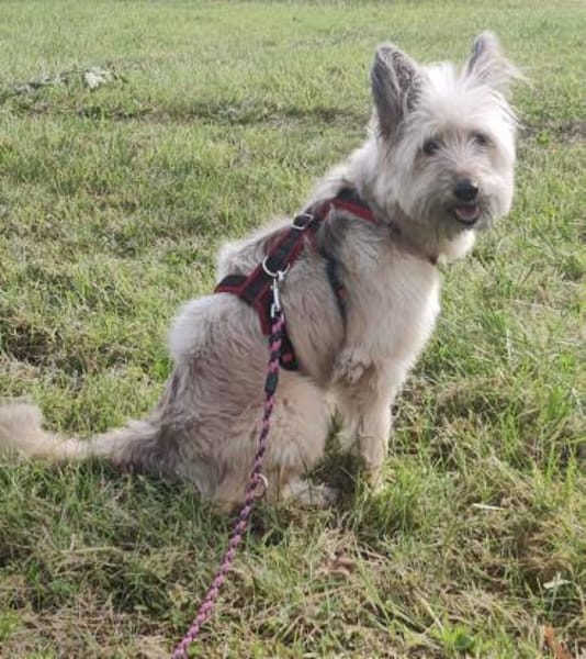 Hübsche Eshka ist für Sie!