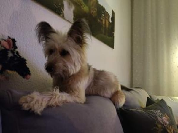 Hübsche Eshka ist für Sie!