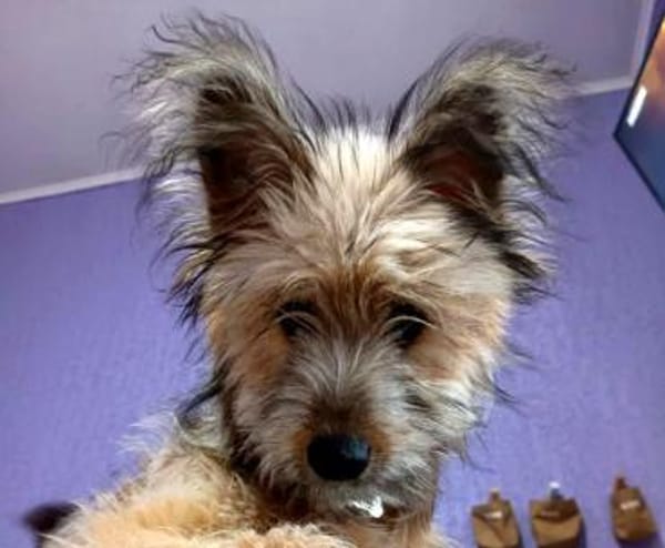 Hübsche Eshka ist für Sie!