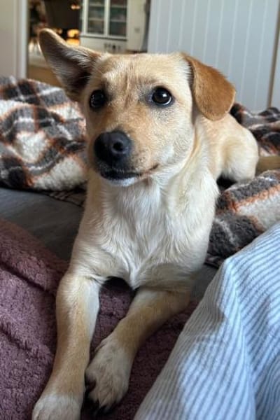 Mira 💗 wartet in 48153 Münster