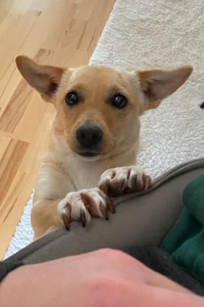 Mira 💗 wartet in 48153 Münster