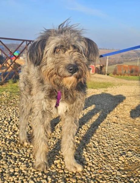 Kelly wünscht ich liebevolle Menschen