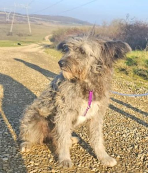 Kelly wünscht ich liebevolle Menschen