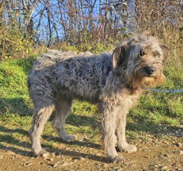 Kelly wünscht ich liebevolle Menschen