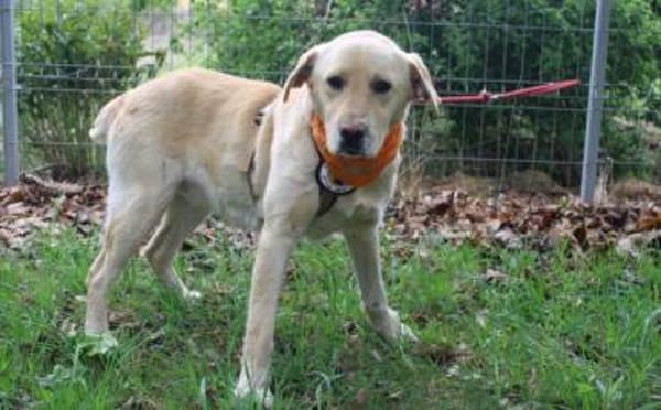 Aufgeschlossener Pinkman sucht Familie