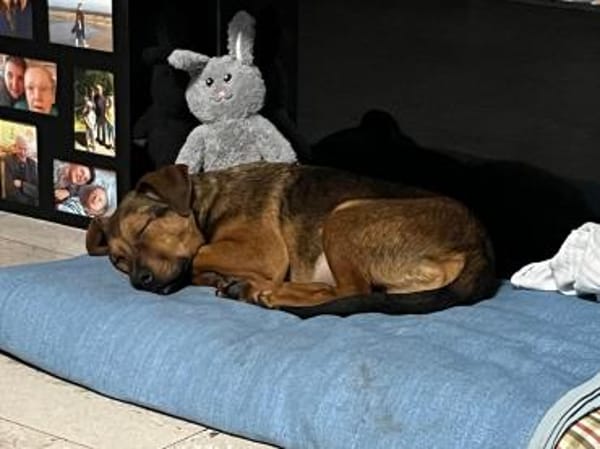 Jando möchte sein Herz verschenken...