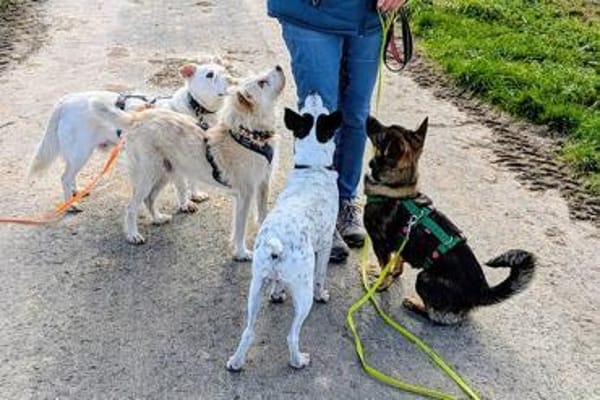 YUNA -Aktiv & anhänglich-