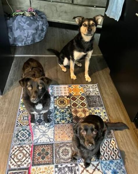 JANNA * freundliche Begleitung