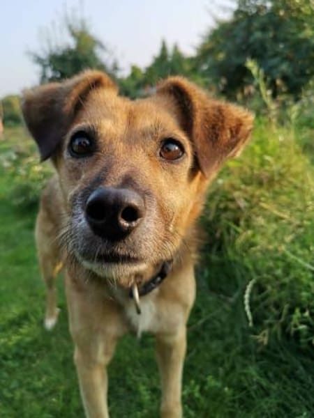 MACI * liebe Seele s. einfühlsames Heim