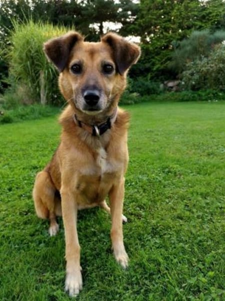 MACI * liebe Seele s. einfühlsames Heim