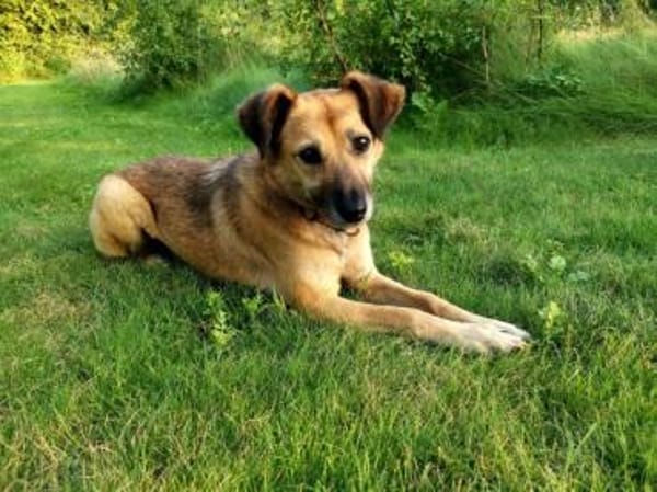 MACI * liebe Seele s. einfühlsames Heim