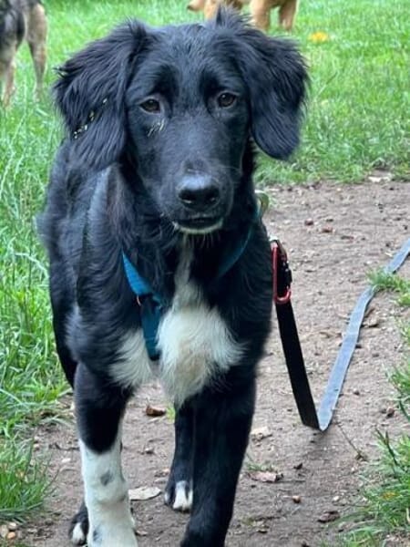 JASNY * freundlich schüchtern