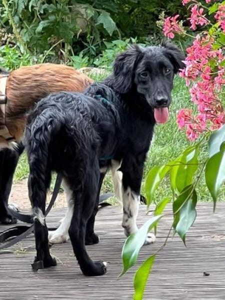 JASNY * freundlich schüchtern