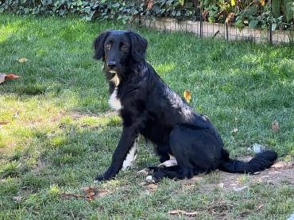 JASNY * freundlich schüchtern