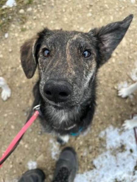 BOLEK -lernfreudig & offen-