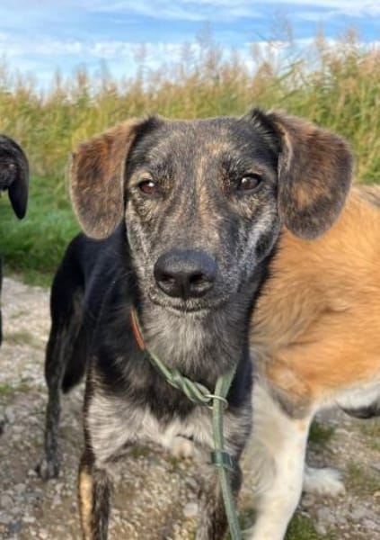 BOLEK -lernfreudig & offen-